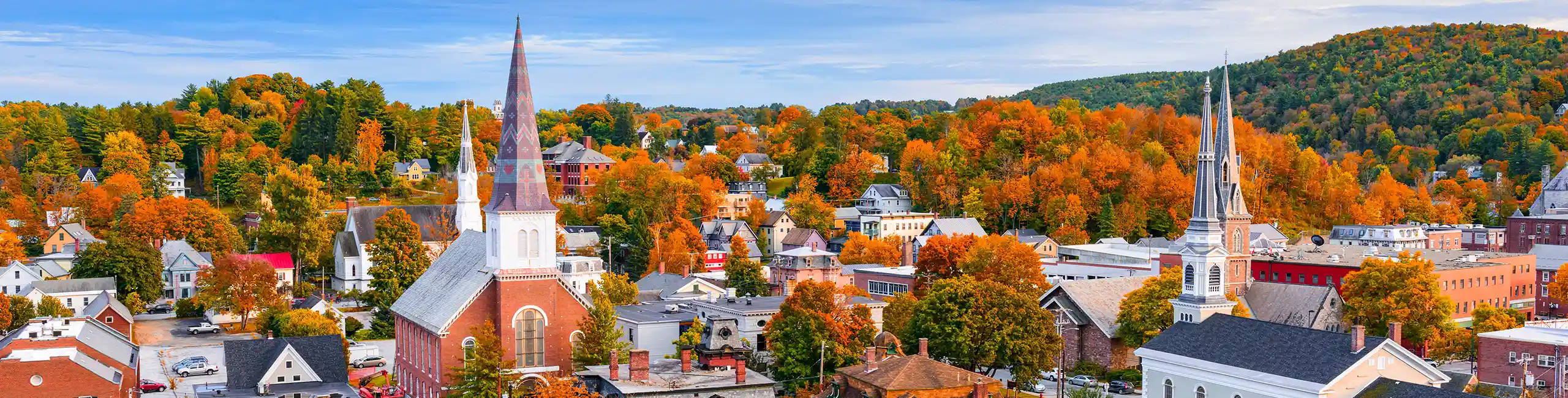 Skyline of a city | Vermont Pest Control serving Middletown Springs, VT