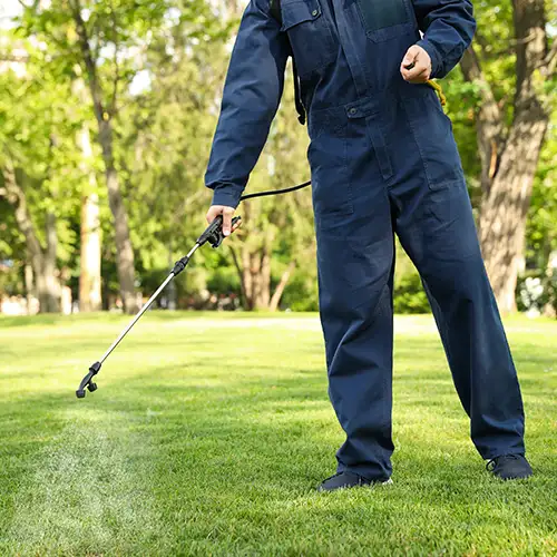 Pest control technician treating a lawn - Keep pests away from your home with Vermont Pest Control in Middletown Springs, VT